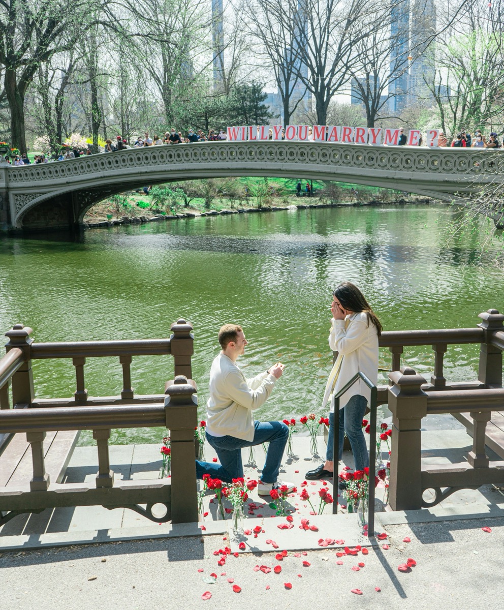 Heiratsantrag Central Park